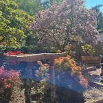 בית נופש Zwijntje I With Floral Garden *