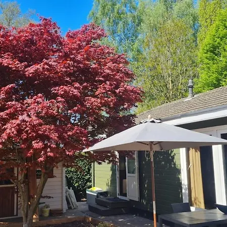 Zwijntje I With Floral Garden