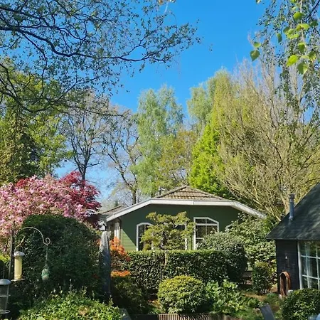 Vakantiehuis Zwijntje I With Floral Garden