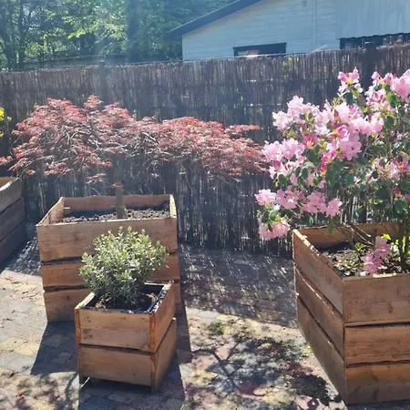 Zwijntje I With Floral Garden * プッテン