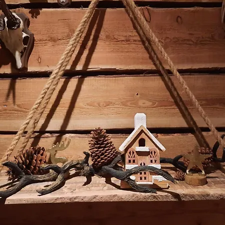 Zwijntje I With Floral Garden 別荘 *