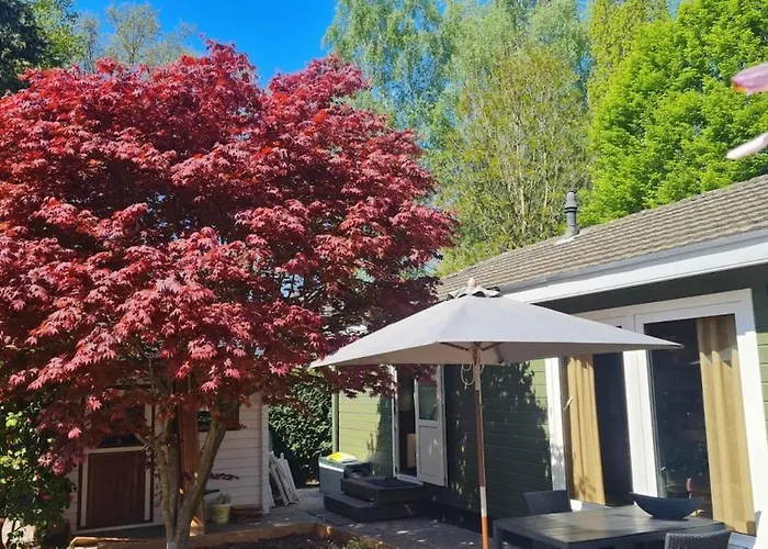 Zwijntje I With Floral Garden