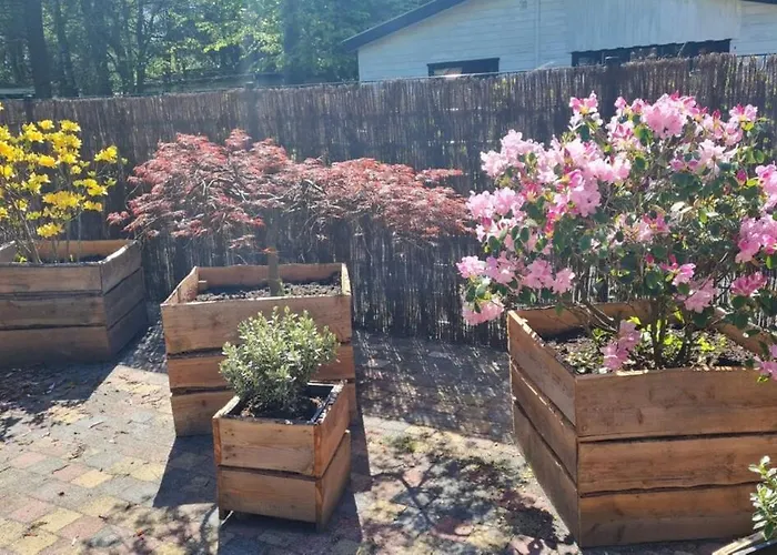 Zwijntje I With Floral Garden * Putten